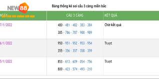 Cách Soi Cầu Ba Càng Hiệu Quả Tại NEW88